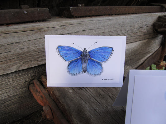Wings Series: Trio of Unique & Artistic Watercolor Cards - Hummingbird, Blue Butterfly, Luna Moth