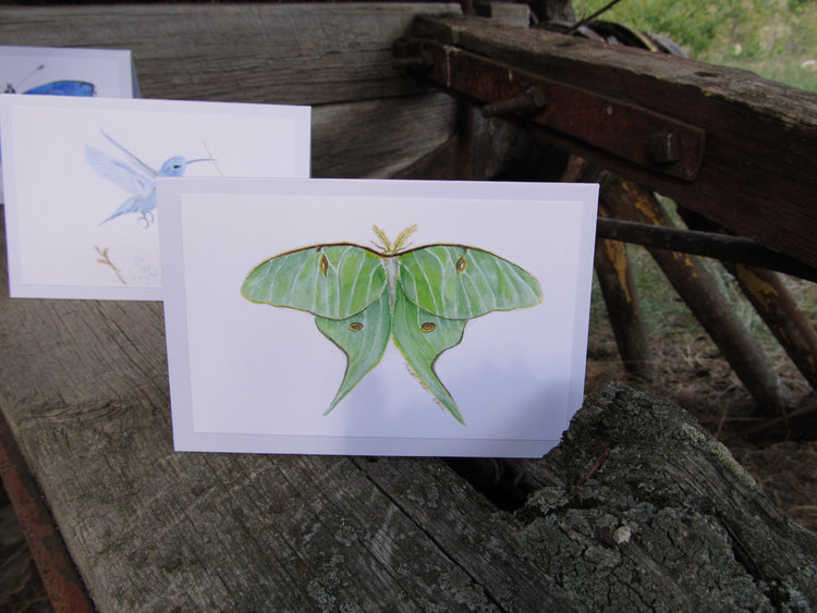 Wings Series: Trio of Unique & Artistic Watercolor Cards - Hummingbird, Blue Butterfly, Luna Moth