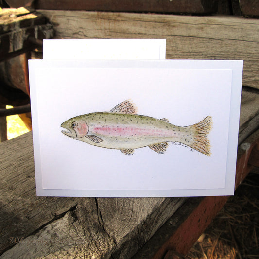 Fishing Themed Notecards Set 4x6 – Featuring Rainbow Trout, Fly Ties & Fly Rods Inspired by Original Watercolor Paintings