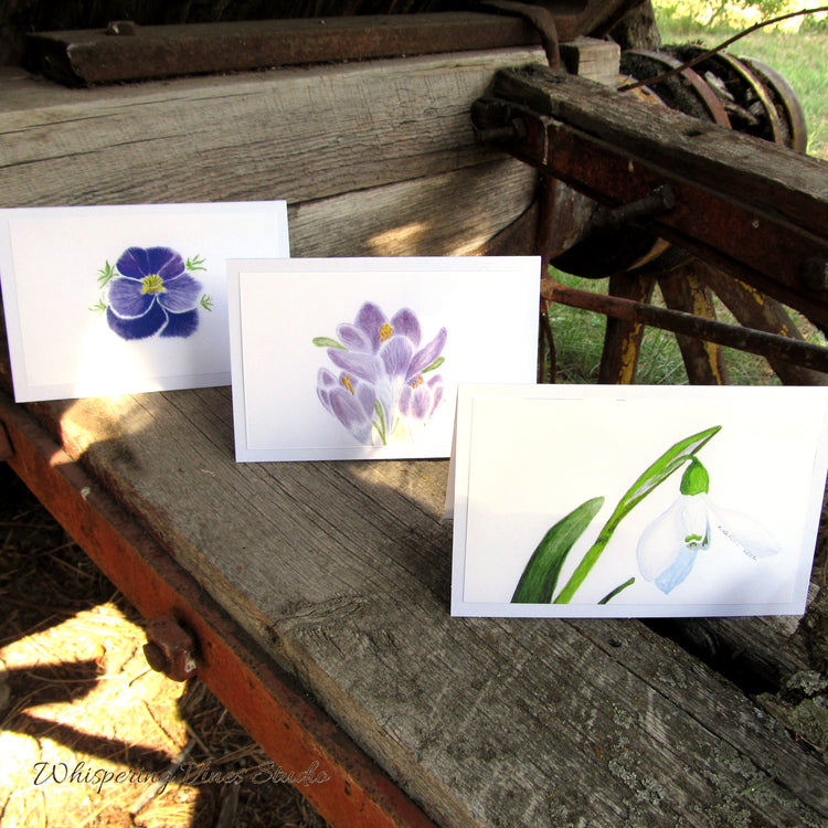 Spring Florals: Set of 3 Original Watercolor Art Notecards - Crocus, Violet, and Snowdrop
