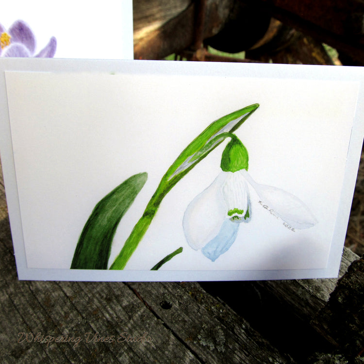 Spring Florals: Set of 3 Original Watercolor Art Notecards - Crocus, Violet, and Snowdrop