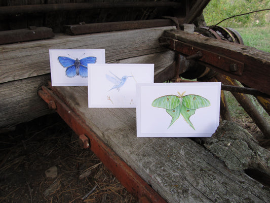 Wings Series: Trio of Unique & Artistic Watercolor Cards - Hummingbird, Blue Butterfly, Luna Moth