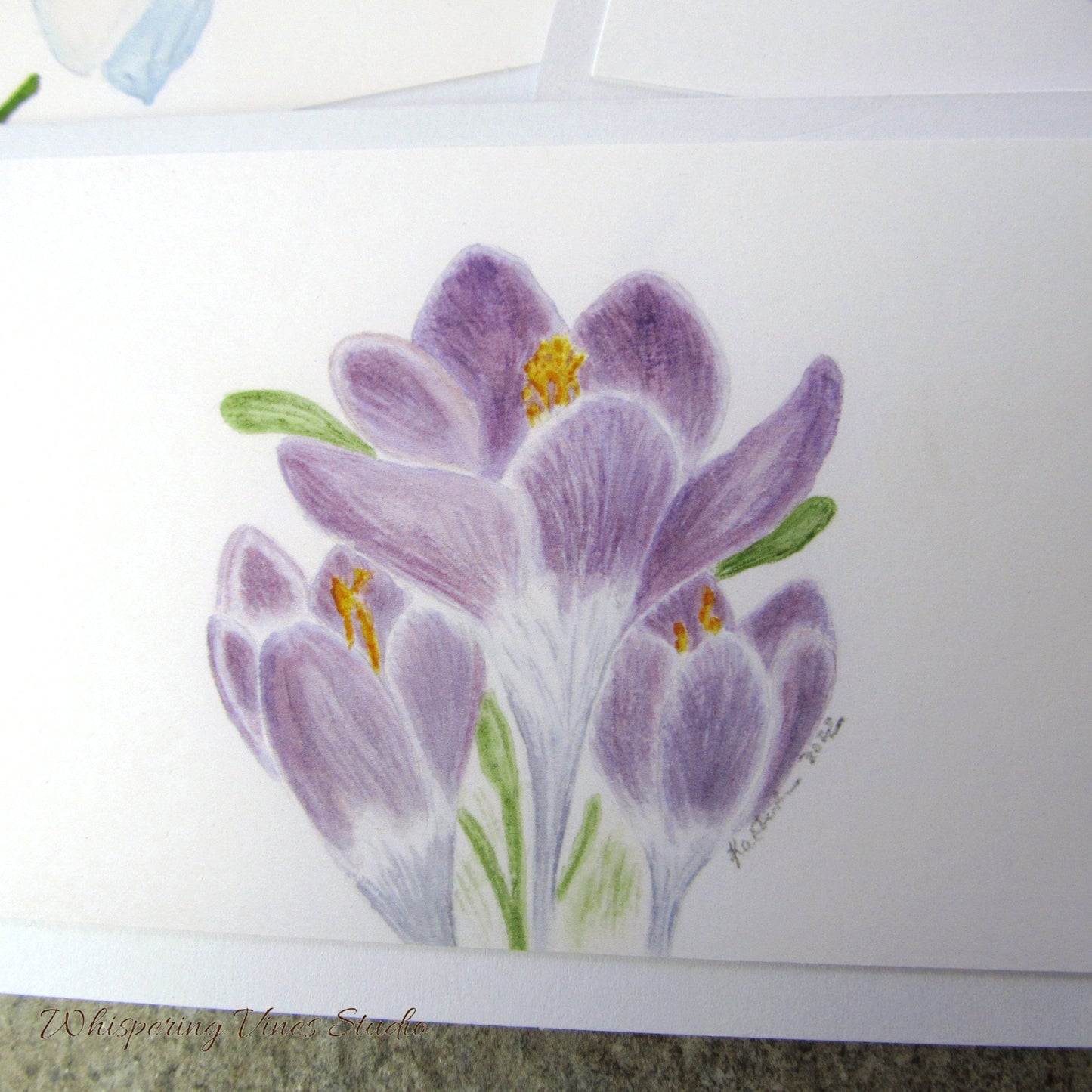 Spring Florals: Set of 3 Original Watercolor Art Notecards - Crocus, Violet, and Snowdrop